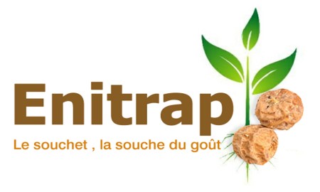 ENITRAP